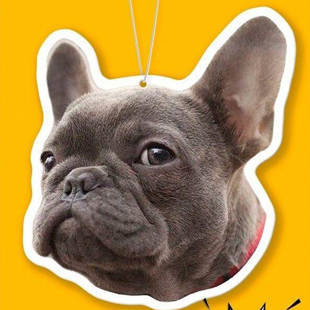 Colgador de coche personalizad - Car Accessories Gifts reseña y precio
